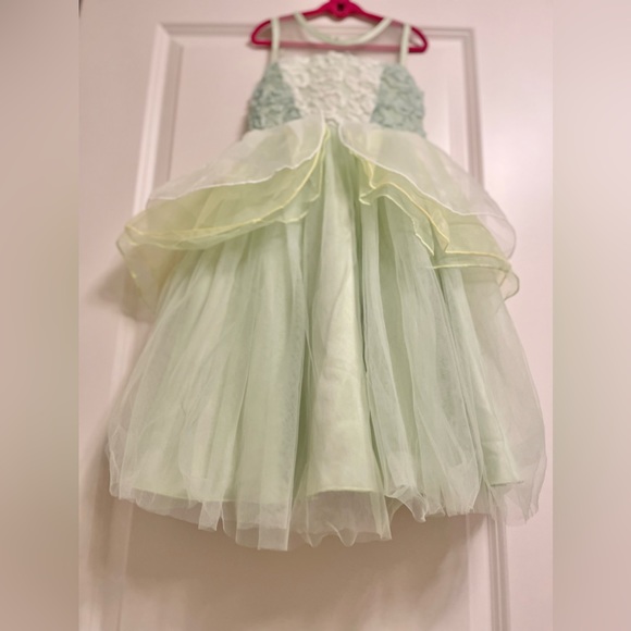 Trish Scully 🐸 👑 Disney Princess Tiana/Princess and the Frog Magical Gown EUC - Picture 8 of 12